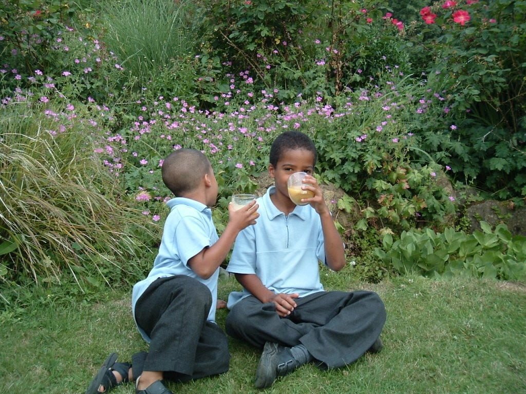 Chidren enjoy linseed oil for omega-3