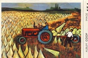 Cigarette card: harvesting flax