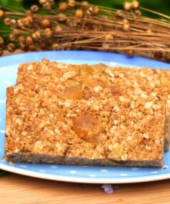 Triple Ginger Gluten-free linseed Flaxjacks Flapjacks
