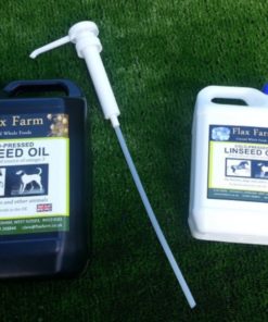 Horse Oil Pump