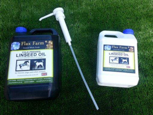 Horse Oil Pump