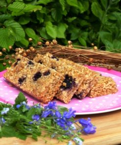 Blueberry Flaxjacks Gluten-free Linseed Flapjacks