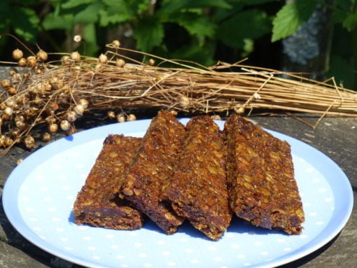 Flax Farm Gluten-free vegan Carrot Cake Flaxjacks linseed