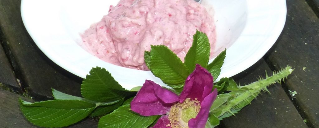 Banana, berry and linseed ice cream. Healthy, omega-3, lower GI, no added sugar and delicious.