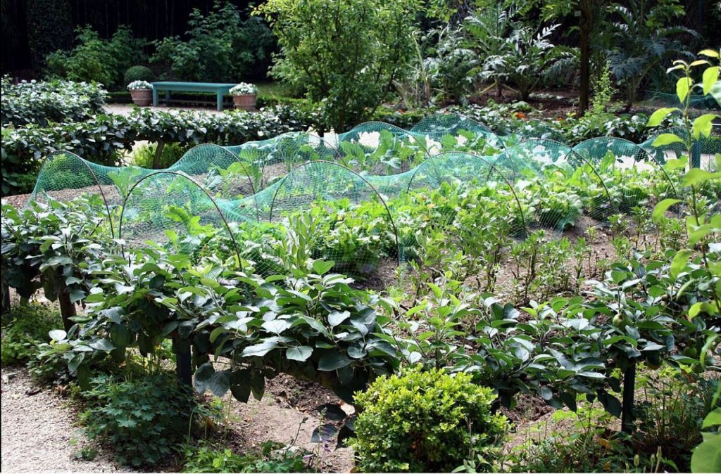 Flaxseed | Cold-pressed Flax oil | Milled Flax Seed | Handmade Flaxjacks