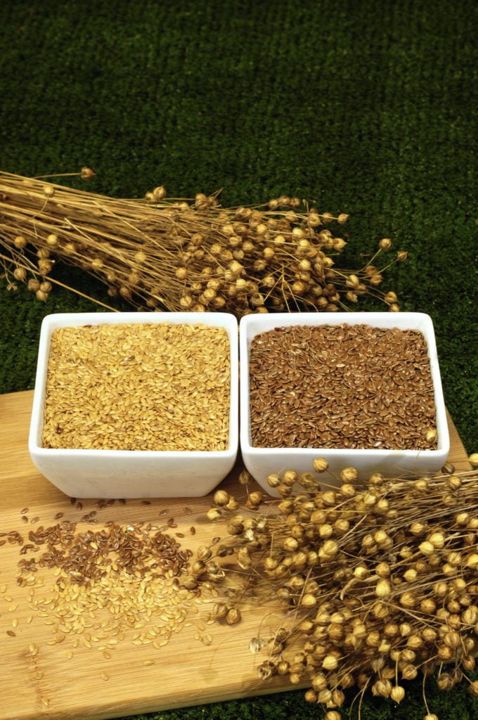 Flaxseed | Cold-pressed Flax oil | Milled Flax Seed | Handmade Flaxjacks