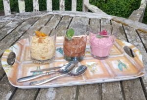 Healhty fruit fool, gluten-free, dairy-free, saturated fat-free,Budwig Diet and OMS recovery diet