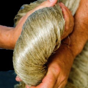 Long silky flax fibre for making linen