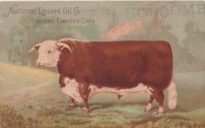 Linseed meal/cake/flake for cattle horses