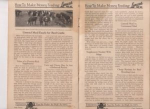 Benefits of feeding beef linseed meal from 1924 booklet on the benefits of feeding 