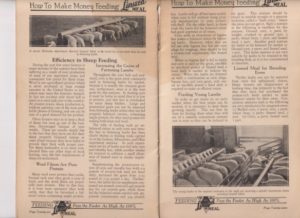 Benefits of feeding Sheep with linseed meal from 1924 booklet on linseed meal 
