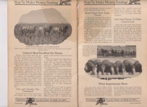 Benefits of feeding horses linseed meal from 1924 booklet on the benefits of feeding 