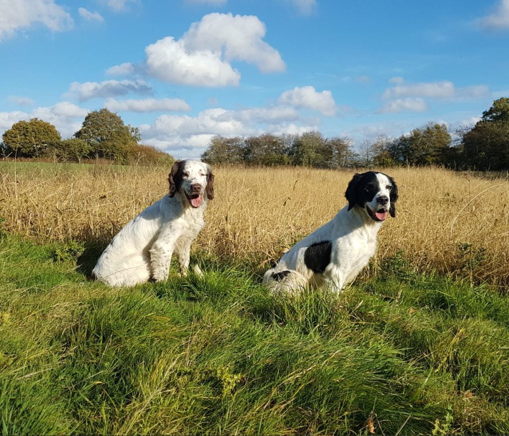 Flaxseed | Cold-pressed Flax oil | Milled Flax Seed | Handmade Flaxjacks